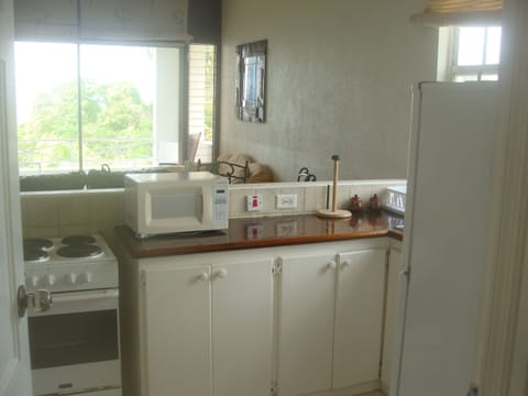 Apartment, 1 Bedroom, Ocean View | Private kitchen | Fridge, microwave, stovetop, coffee/tea maker