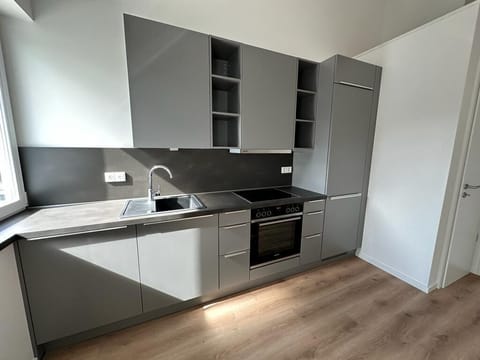 Full-size fridge, oven, stovetop, dishwasher