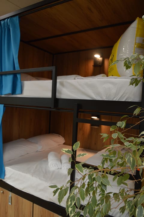 Deluxe Shared Dormitory, Mixed Dorm | Soundproofing, free WiFi, bed sheets