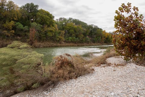 Apartment (0 Bedroom) | Interior
