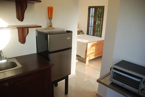 Detached Studio, Ocean View | Private kitchenette | Fridge, stovetop, coffee/tea maker