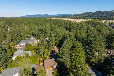 Drone view of the dunes from home
