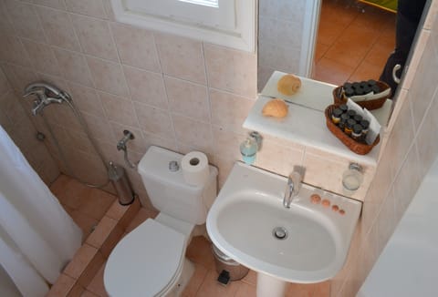 Standard Room | Bathroom | Shower, designer toiletries, hair dryer, towels