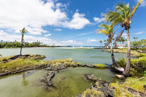 Ancient Hawaiian Fish Ponds