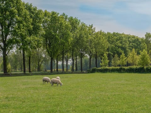 Immediate Surroundings [summer] (<1 km)