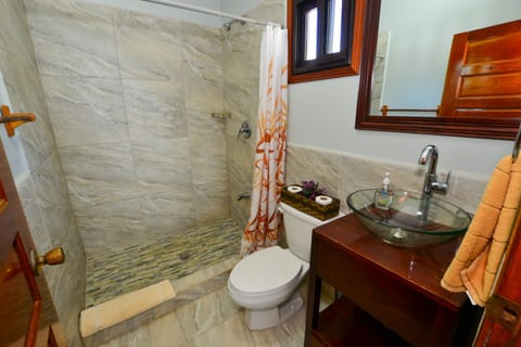 Deluxe Cabin | Bathroom | Shower, free toiletries, hair dryer, towels