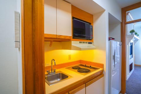 Apartment (1 Bedroom) | Private kitchen | Cookware/dishes/utensils, paper towels