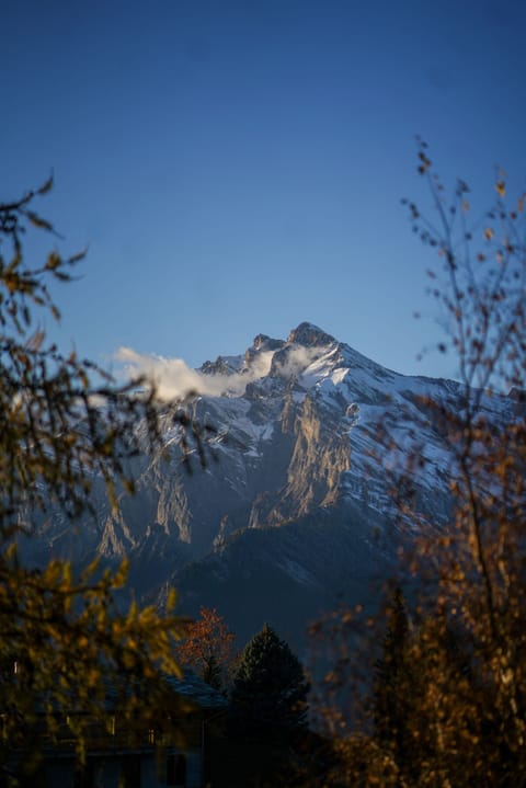 Nice little flat with pool in Haute-Nendaz