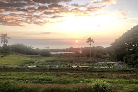 This vacation home sits adjacent to a bustling organic lettuce and coffee farm 