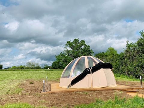 Wigwam Bed and Bourgogne 9