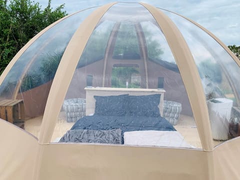 Wigwam Bed and Bourgogne 7