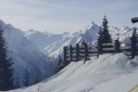 Immediate Surroundings [winter] (&lt;1 km)