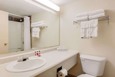 Combined shower/tub, free toiletries, hair dryer, towels