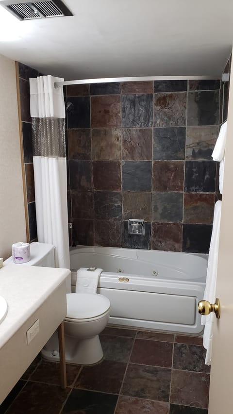 Combined shower/tub, free toiletries, hair dryer, towels