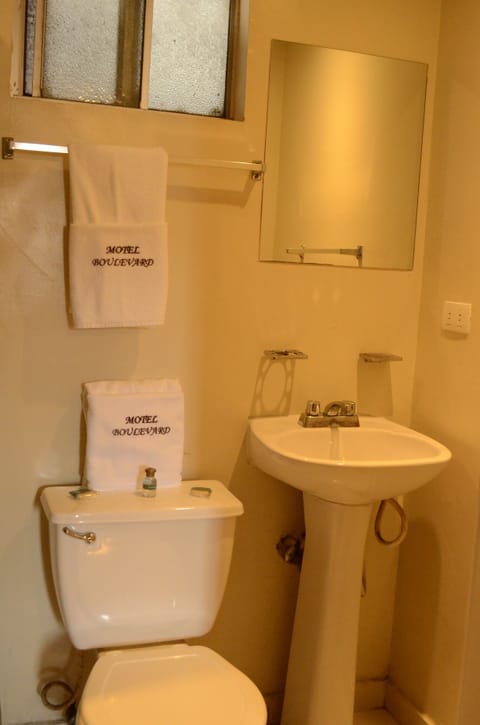 Basic Double Room | Bathroom | Shower, free toiletries, hair dryer, towels