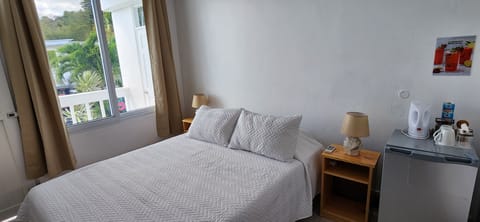 Deluxe Room | Individually decorated, desk, laptop workspace, free WiFi