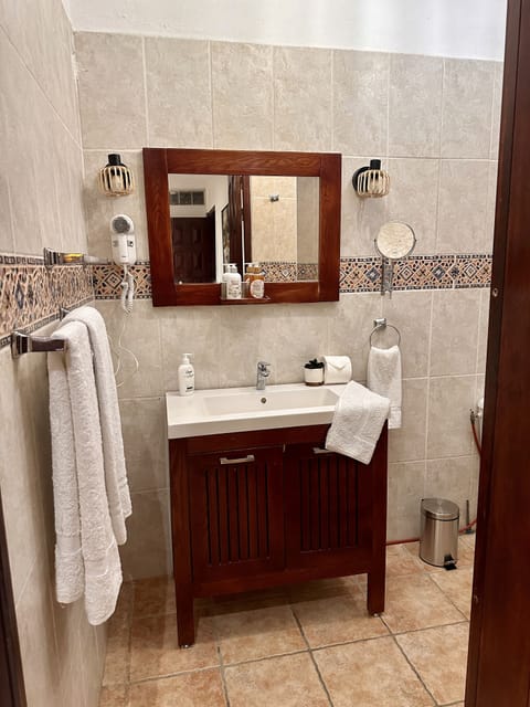 Double Room | Bathroom | Shower, hair dryer, towels