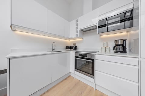 Deluxe Apartment | Private kitchen | Full-size fridge, microwave, oven, stovetop