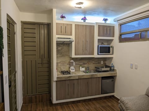 Executive Apartment | Private kitchen | Cookware/dishes/utensils, dining tables