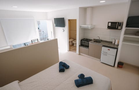 Deluxe Studio Suite | Private kitchen | Full-size fridge, microwave, oven, electric kettle