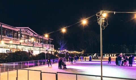 Ice skating