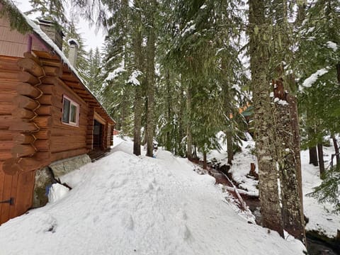 Back yard alongside the creek