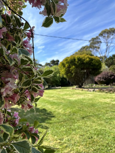 222 GARDEN