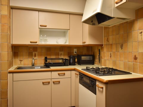 Basic Apartment | Private kitchen | Full-size fridge, microwave, oven, stovetop