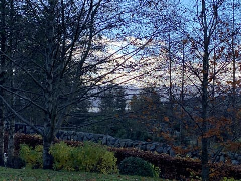 House | 6 bedrooms, free WiFi, bed sheets