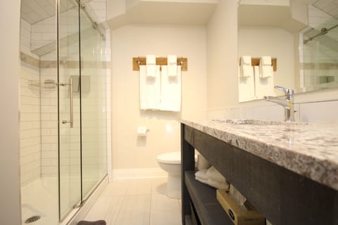 King Suite 5 | Bathroom | Shower, free toiletries, hair dryer, bathrobes