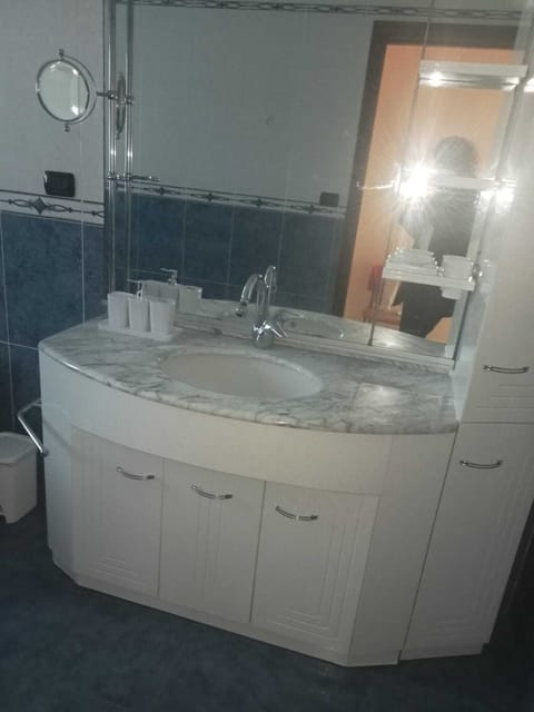 Separate tub and shower, hair dryer, bidet