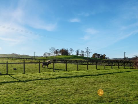 Garden | The Longhouse at Threave, Castle Douglas