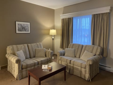 Executive Room | Living area | 32-inch flat-screen TV with cable channels