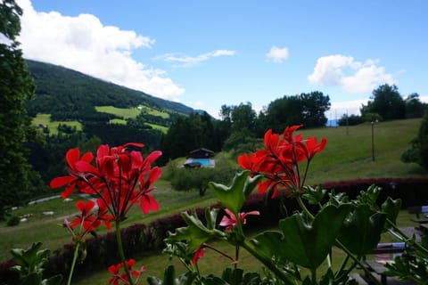View from Holiday Home [summer]