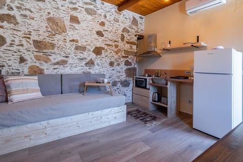 The kitchen and sofa bed