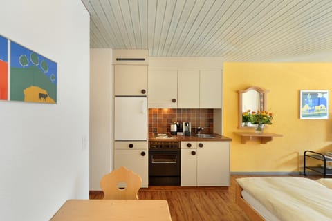 Studio, Balcony | Private kitchen | Fridge, oven, stovetop, electric kettle