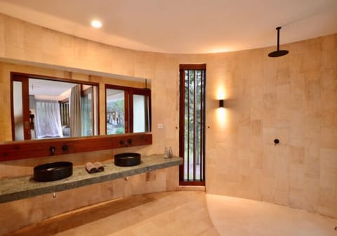 Luxury Suite | Bathroom | Shower, rainfall showerhead, towels, soap