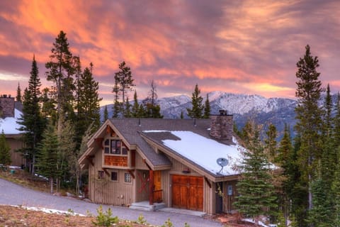 Outdoors, Shelter, Tree, Fir, Nature