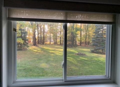 View from kitchen window