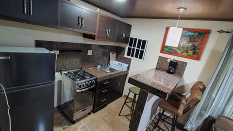 Deluxe Apartment | Private kitchen | Full-size fridge, coffee/tea maker