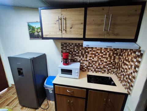 Elite Apartment | Private kitchen | Full-size fridge, coffee/tea maker