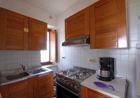 The small full kitchen with induction, big fridge, microwave, american coffee m.