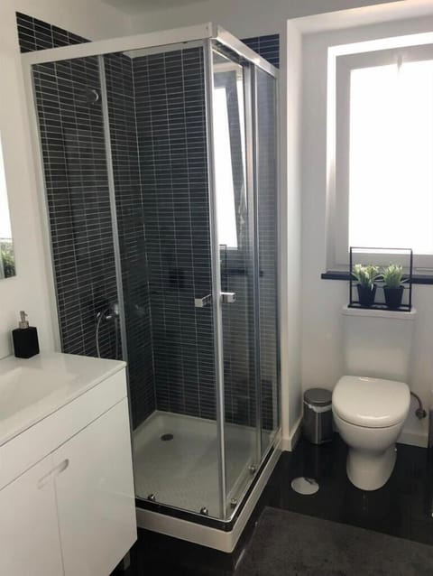 Basic Apartment | Bathroom | Hair dryer, towels, toilet paper