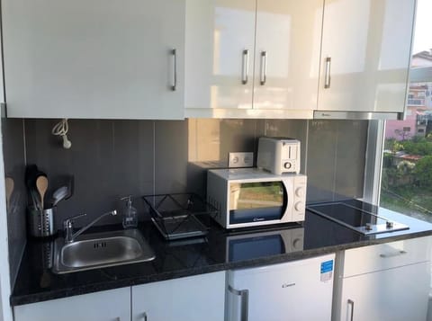 Basic Apartment | Private kitchen | Fridge, microwave, dishwasher, espresso maker