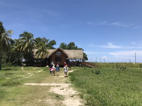 Beach bar