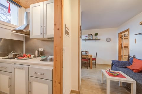 Standard Apartment, 2 Bedrooms (La Tana Dell'Ermellino 3 Ski In Ski) | Private kitchen | Fridge, microwave, stovetop, electric kettle