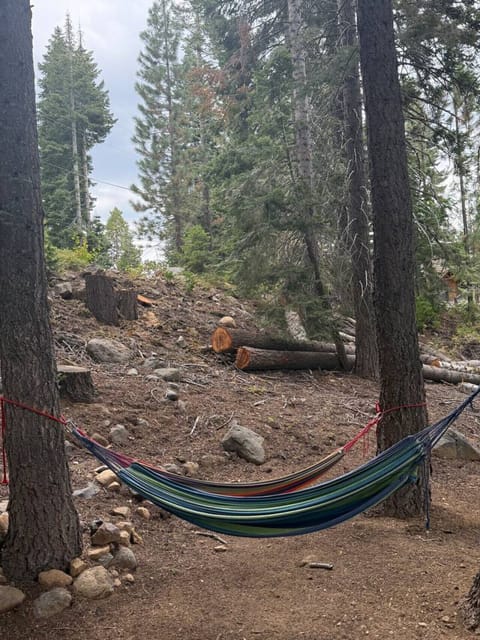 Your secret spot to nap, read, or just listen to the forest.