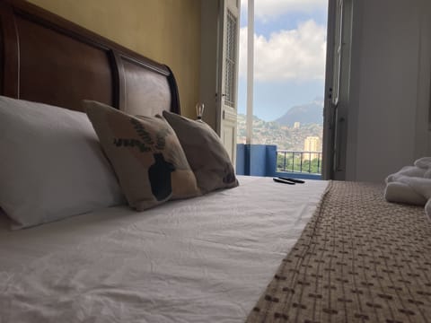 Panoramic Double Room | In-room safe, iron/ironing board, free WiFi, bed sheets