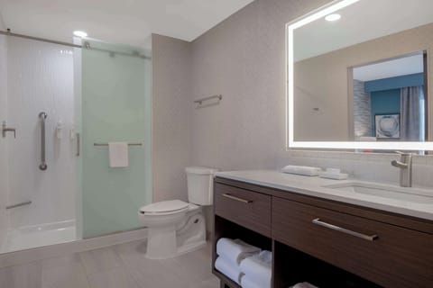 Suite, 1 Bedroom | Bathroom shower