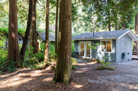 The front of the cabin nestled in the woods, with our shed to the left.